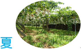 ようこそ牧丘へ